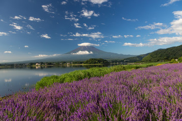 Fototapeta na wymiar Mount fuji at Lake kawaguchiko. Milky Way. fuijsun in japan.