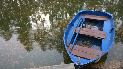 лодка на озере с отражением деревьев в воде © zelinskaalla