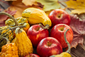 Decorative gourds and apples on a dark wooden table