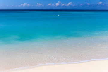 Obraz premium Caribbean coast