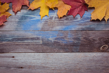 Naklejka na ściany i meble Frame. Fallen maple leaves on a dark wooden table