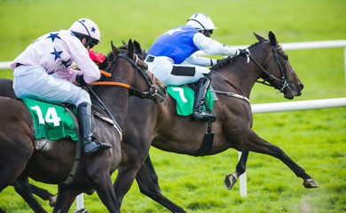 Race horse and jockey in the lead 