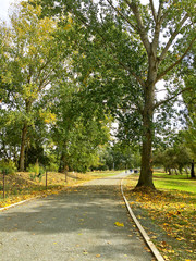 Fototapeta premium Road in a park on autumn time