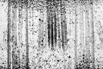 Detail of black tire tracks on road.