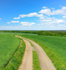 Fototapeta na wymiar Feldweg durch grüne Felder unter blauem Himmel im Frühling