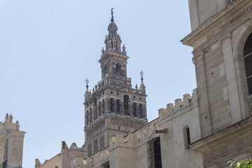 Fototapeta premium Bell tower Giralda, former minaret of Cathedral church, Seville,