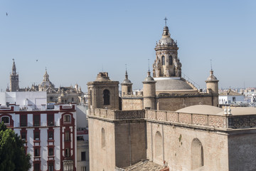 Fototapeta na wymiar Church of the Annunciation, Giralda and Seville Cathedal in the