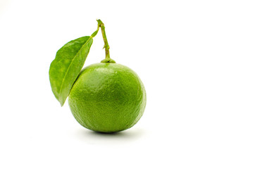 Lime on white background