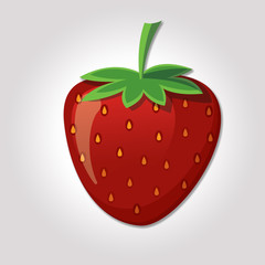 Strawberry vector 