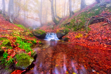 Colors of autumn foggy forest with mountain waterfall