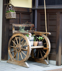 Obraz premium wheel chair plants