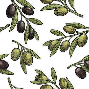 Seamless pattern Olives on branch with leaves.