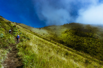 Mountain landscape with grass tree and sky background
