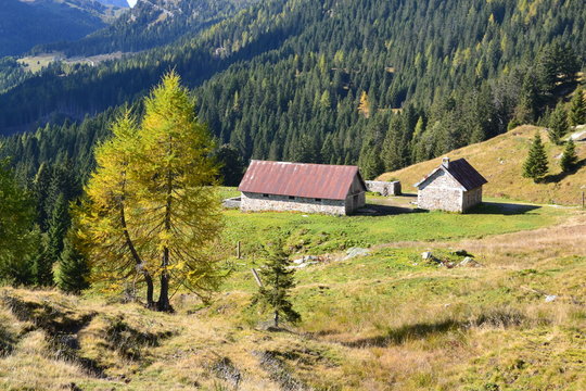 Casera For  (presso passo Pramollo)