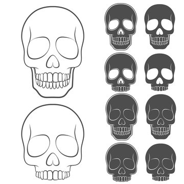 Vector set of skulls. Isolated objects on white.