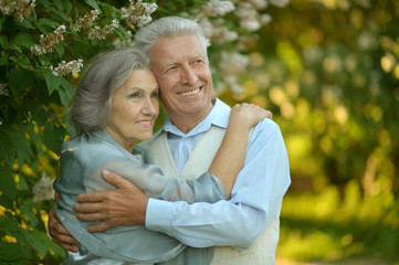 Fototapeta premium Senior couple in autumn park