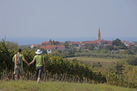 helene n patrick by vineyards