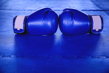 boxing gloves or martial arts gear on a rubber floor gym
