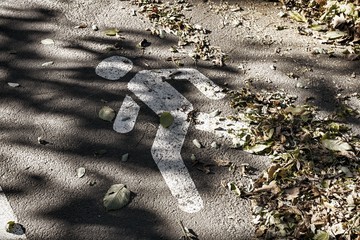 Pedestrian crossing sign on asphalt with fallen leaves.