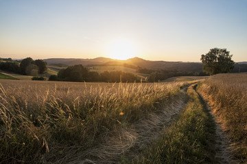 Fototapeta premium Agra Landschaft, Felder bei Sonnenaufgang