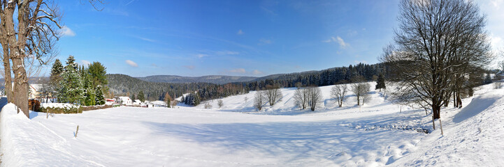 Winter bei Scheibe-Alsbach im Thüringer Wald