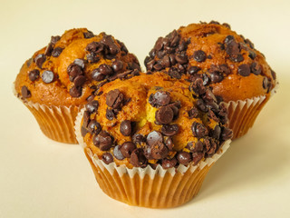 cupcakes with chocolate chips
