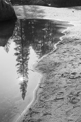 river sand reflection bw