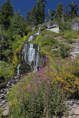 videa waterfalls n flowers