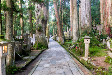 Graveyard of Mount Koya (Koya San), near Kobo-Daishi's shrine, in the Kansai peninsula, Japan. - obrazy, fototapety, plakaty