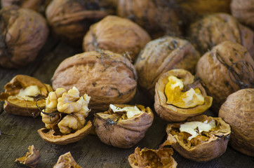 crop harvested walnuts