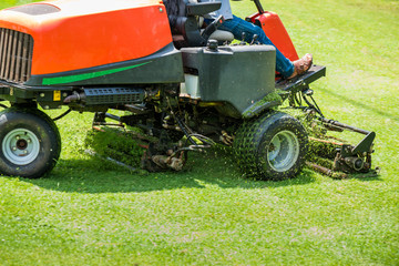 Obraz premium mowers