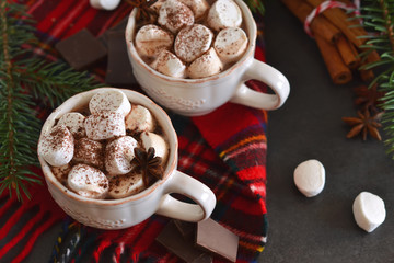 Hot chocolate with marshmallows, cinnamon and spices 