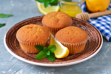 Homemade, lemon muffins with honey and mint on a concrete backgr