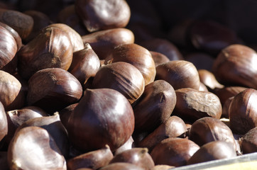 chestnut at market