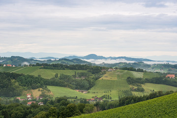 Hügellandschaft in der Südsteiermark