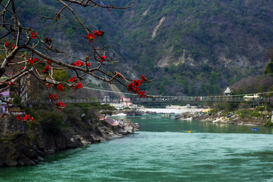 RISHIKESH, INDIA - view to Ganga river and lakshman jhula from cafe under magnolia tree
