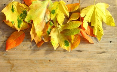 Naklejka na ściany i meble Autumn leaves on old wooden table 