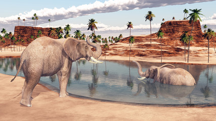 Elefanten am Wasserloch © Michael Rosskothen