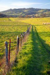 Fototapeta na wymiar long fence n green fields