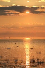 Sea shore during sunset