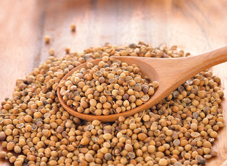 dried coriander seeds