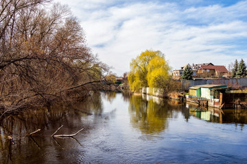 Springtime landscape - river with small village and forest on the banks, dry tree branches floating...