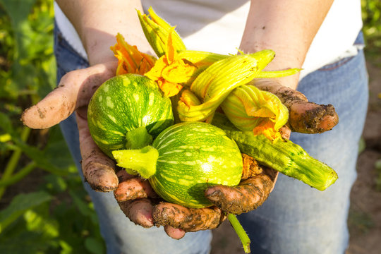 contadina mostra i frutti del suo orto