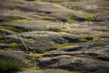 Sandstone & Moss