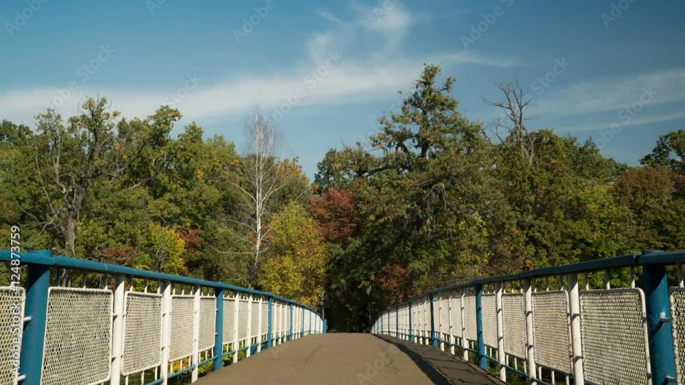 Poster bridge in the park with wonderful autumnal view on the river or lake wood with trees leaves bright c
