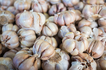fresh garlic with skin at market
