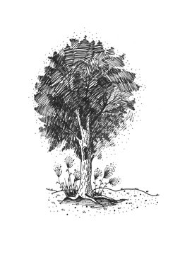 Drawing the tree graph. Illustration made in the manual chart, black ink on a white background isolated. It can be used for greeting cards, illustrations and other design
