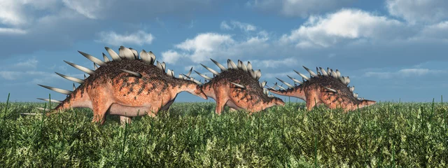 Badezimmer Foto Rückwand Dinosaurier Kentrosaurus © Michael Rosskothen
