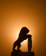 Lion silhouette in the evening