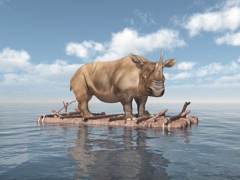 Nashorn auf einem Floß